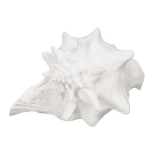 Soška z polyresínu (výška 13 cm) Seashell – Ixia