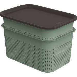 Zelené plastové úložné boxy s vekom v súprave 2 ks 18,5 x26, 5x18 cm Brisen – Rotho