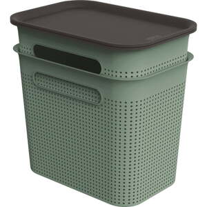 Zelené plastové úložné boxy s vekom v súprave 2 ks 18,5 x27x26 cm Brisen – Rotho