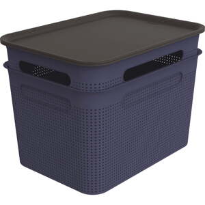 Tmavomodré plastové úložné boxy s vekom v súprave 2 ks 26,5x36,5x26 cm Brisen – Rotho