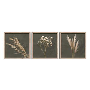 Súprava plagátov 3 ks v ráme 30x30 cm Pampas – Styler