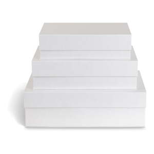 Biele kartónové úložné boxy v súprave 3 ks s vekom/dekoratívne 42,5x29,5x13 cm Kian Paper Laminate – Bigso