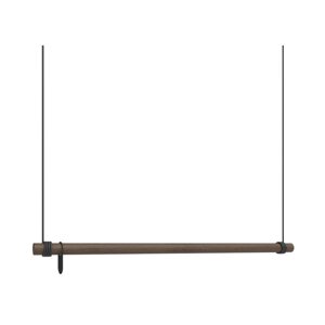Hnedý nástenný stojan na oblečenie z dubového dreva 110x200x4 cm Swing L – LIND DNA