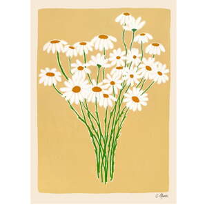 Plagát 30x40 cm Daisies – The Poster Club