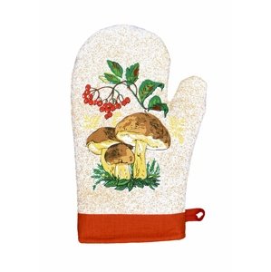 Chňapka kuchynská, Huby, teracota