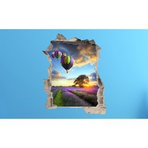 3D fototapeta, Levandulove pole 100 x120cm