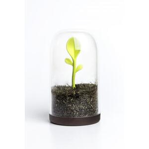 Dóza s lyžičkou Qualy Sprout Jar