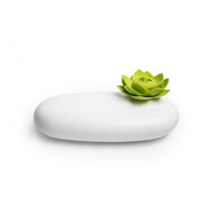 Multifunkčné púzdro Qualy Lotus Pebble Box, biele-zelené