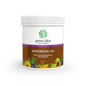 Green Idea Artroregen masážny gél, 250 ml