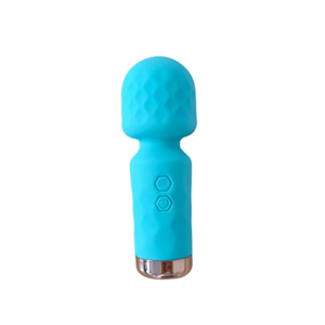Willi Toys Masážna hlava, modrá