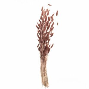 Dekoria Kytica fúkačiek 60cm dusty pink, 5 x 5 x 60 cm